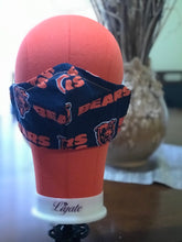 Load image into Gallery viewer, Face Mask (Fabric)